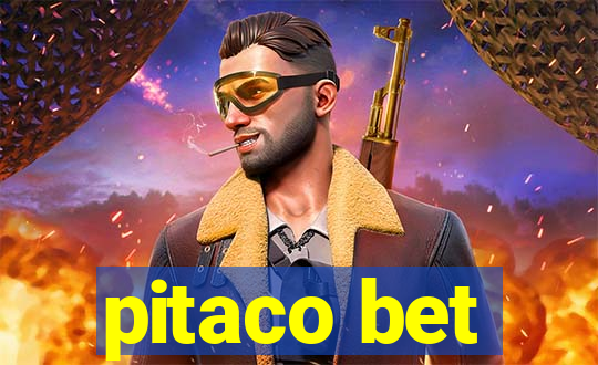 pitaco bet